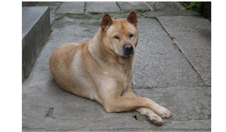 【生命数字】夫妻码 原来这才是旺财婚姻的终极密码