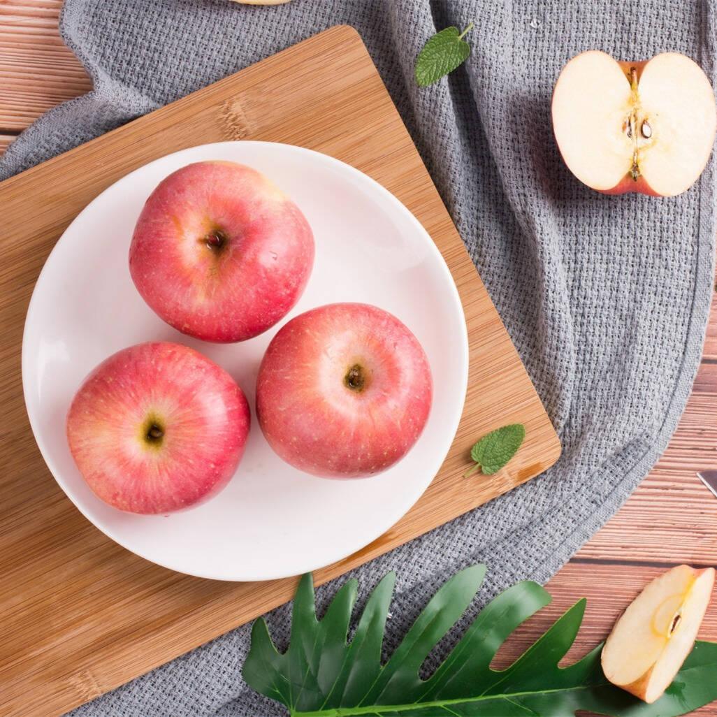 猫咪能吃西瓜吗？新手铲屎官必看的投喂指南