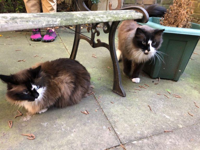 算命微信群真的能看透你的人生剧本吗? 算命微信群真的能看透你的人生剧本吗?