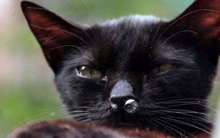 康州华人论坛到底能帮你解决哪些生活难题？