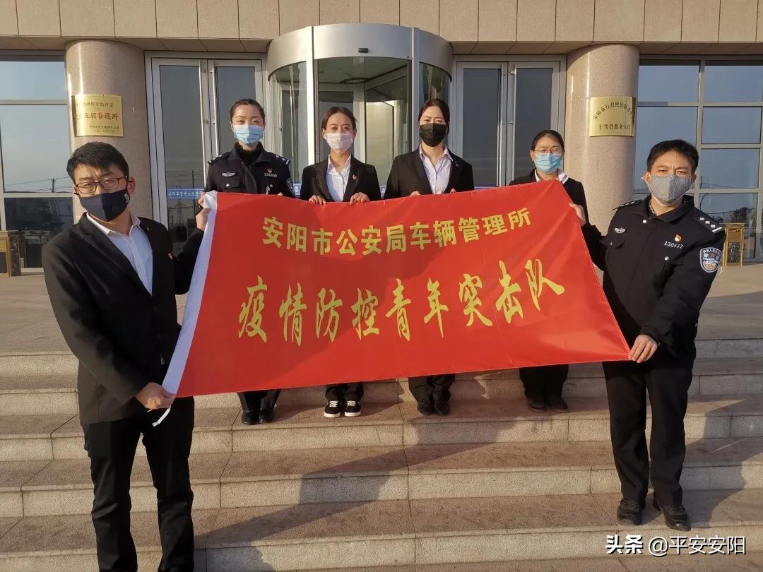 安阳车管所服务全解析，车主必看指南，一文读懂业务流程