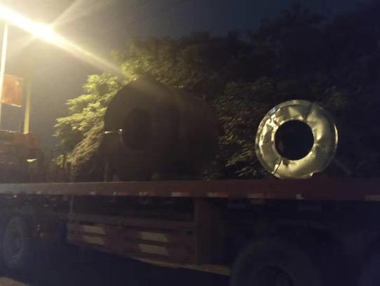 猫咪摸起来烫烫的是低烧吗?手把手教你判断和处理! 猫咪摸起来烫烫的是低烧吗?手把手教你判断和处理!