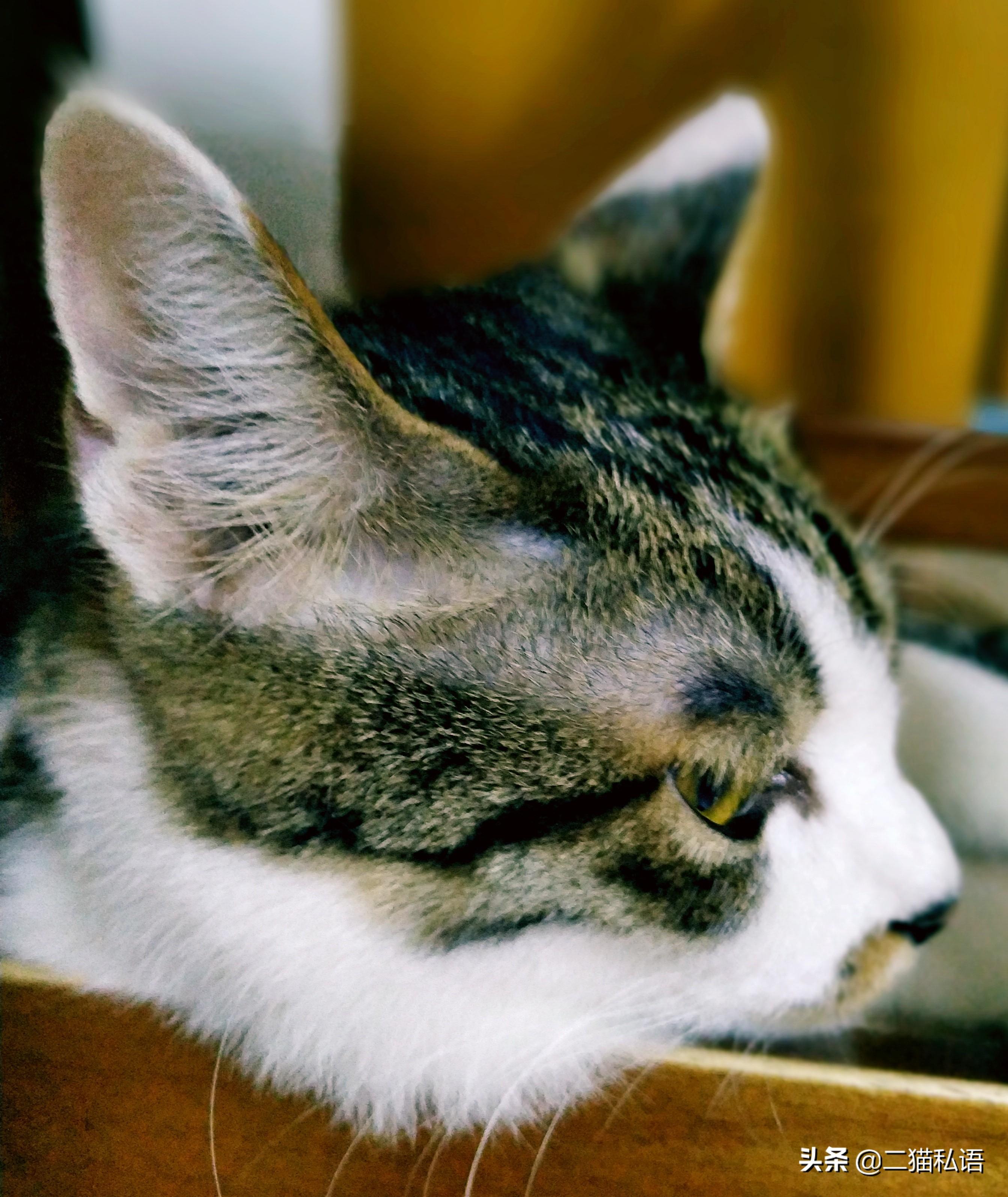 普陀山算卦到底灵不灵?亲身踩坑经验大公开! 普陀山算卦到底灵不灵?亲身踩坑经验大公开!