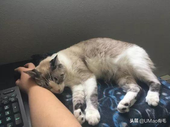 免费在线起名真的靠谱吗？