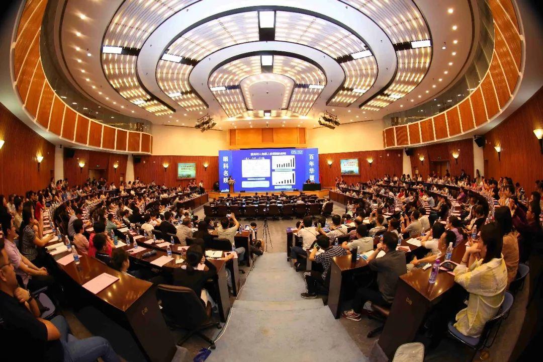 为什么你的猫咪总爱霸占抱枕？