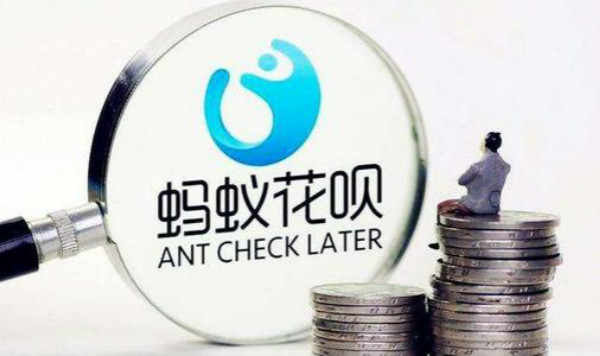 为何当前交易不支持花呗？资深专家为你剖析