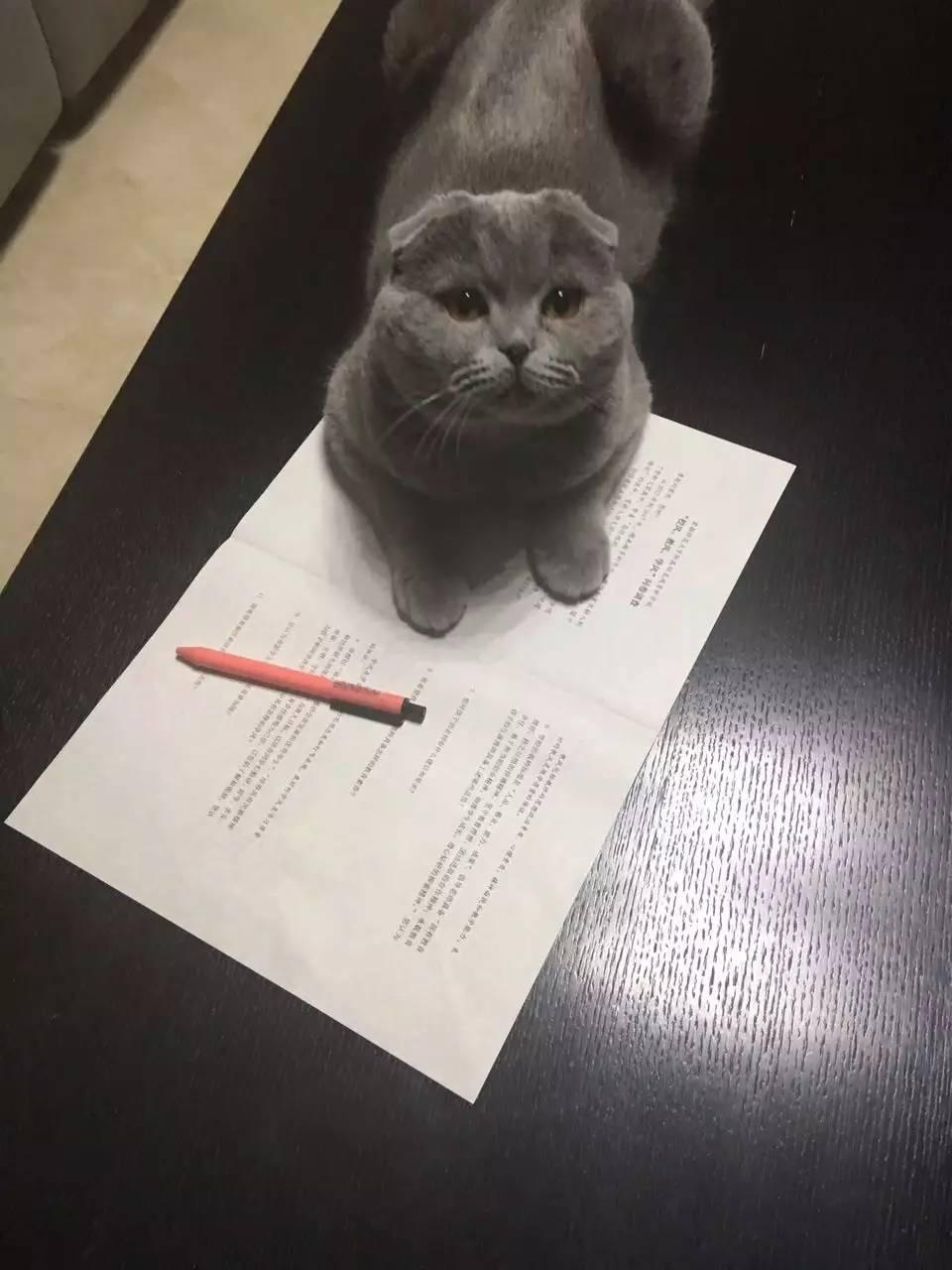 菲亚特汽车价格高?2024最新购车攻略帮你省3万 菲亚特汽车价格高?2024最新购车攻略帮你省3万