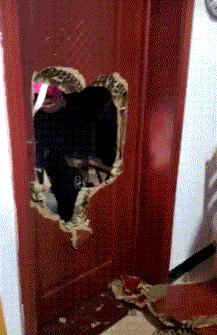 猫咪为啥总爱咬你的脚丫子? 猫咪为啥总爱咬你的脚丫子?