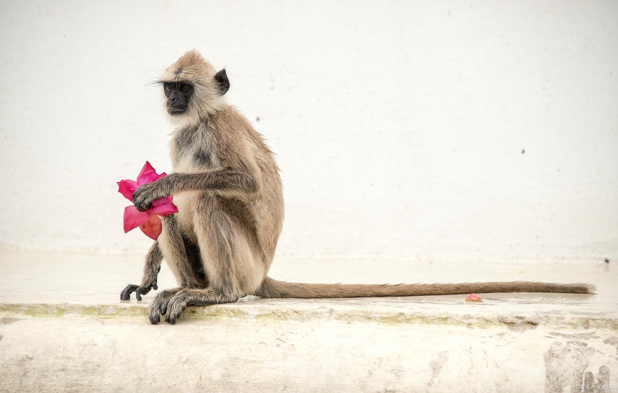 2023年到底有什么特别？全年运势、重大事件一次说透！