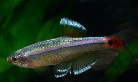 黑色科鲁兹怎么改装才够酷? 黑色科鲁兹怎么改装才够酷?