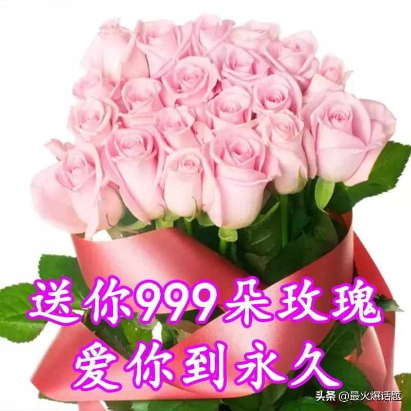 二手猎豹Q6值得买吗？实拍图片对比、市场报价分析、优缺点全揭秘