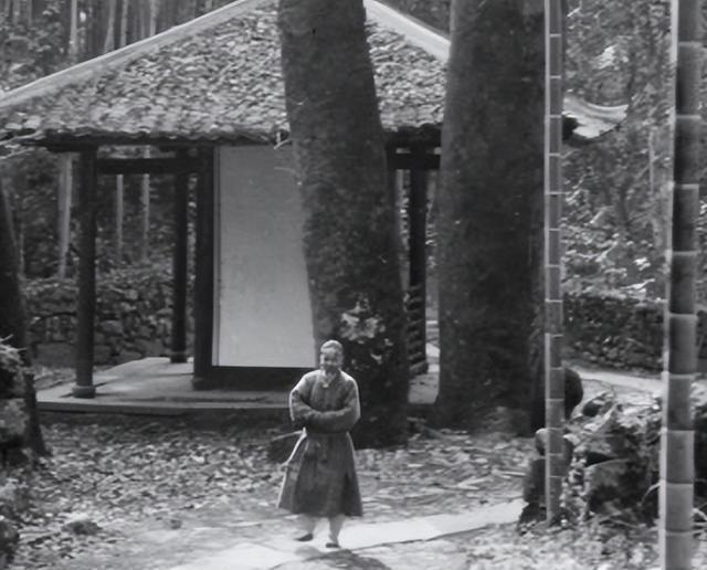 杰帕罗夫到底怎么用才能让新手逆袭？