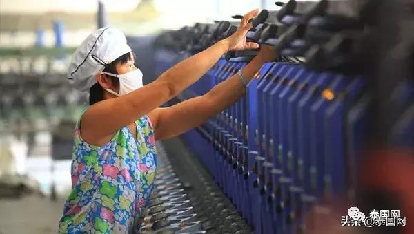 北美华人论坛 小可 到底怎么玩？新手必看的防坑指南