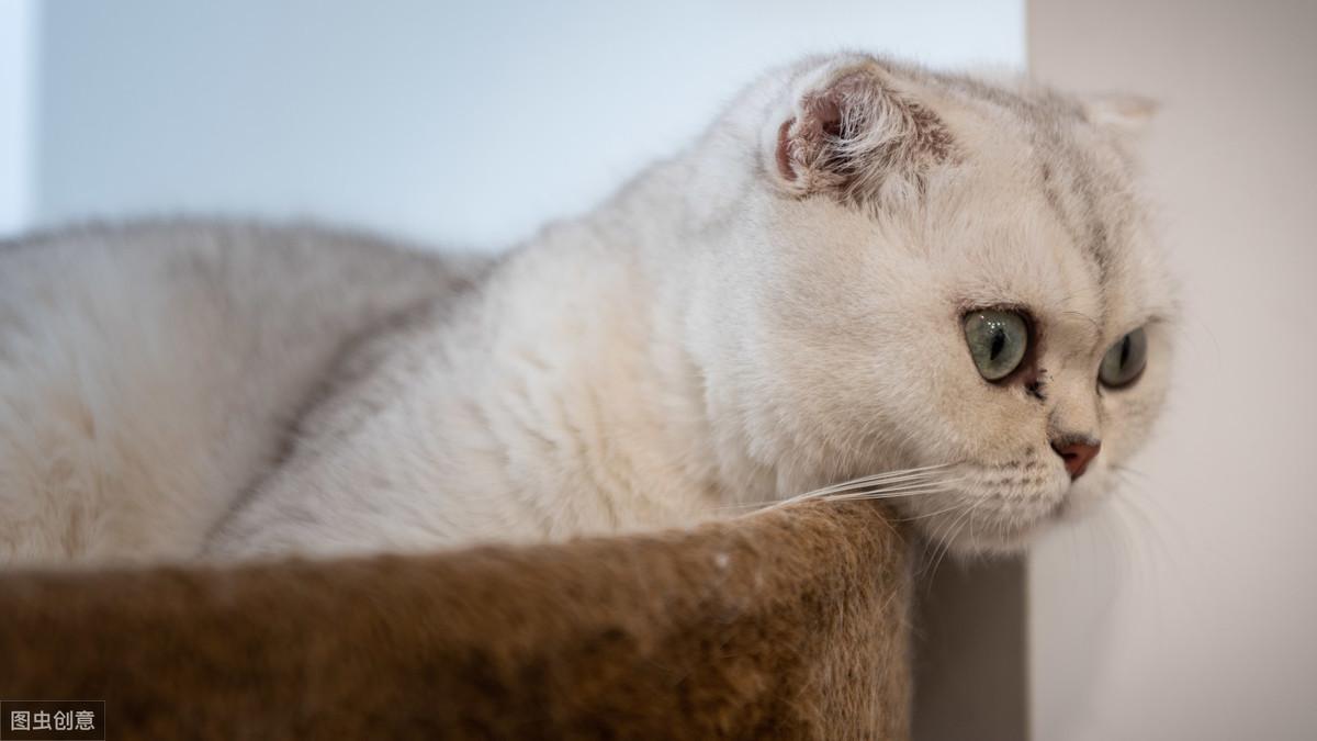 北美华人论坛逍遥津到底怎么用?看完这篇还不会算我输! 北美华人论坛逍遥津到底怎么用?看完这篇还不会算我输!