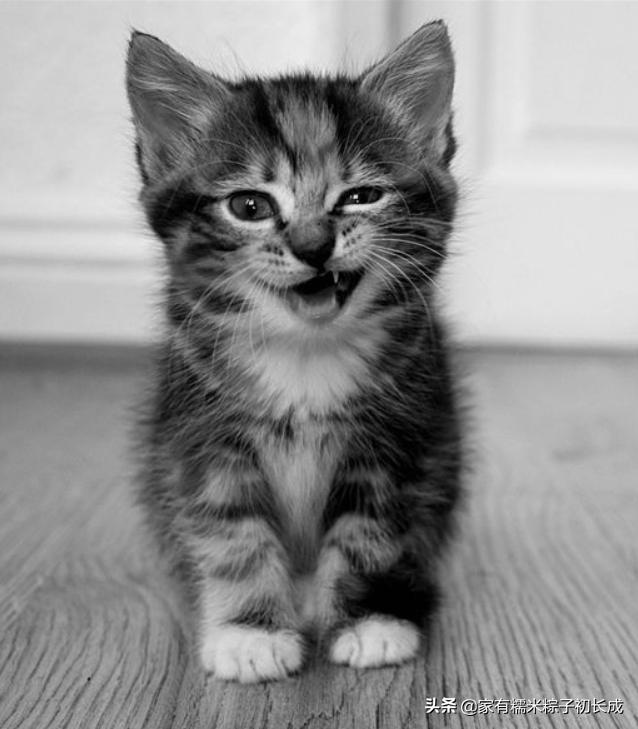 POS机套现出“新变种”防不胜防