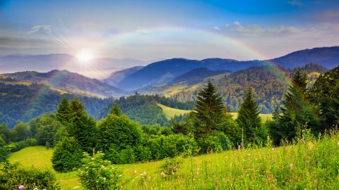 面相学解读李沁_李媛媛面相分析_李沁面相分析