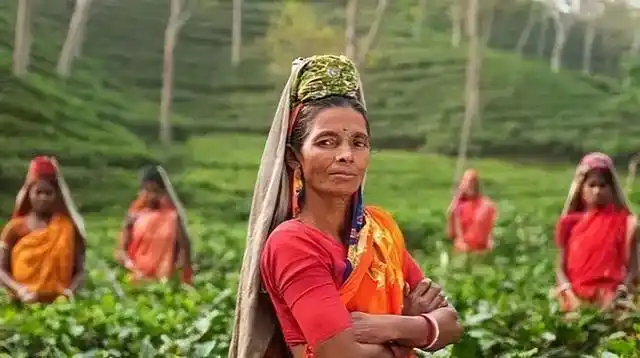 印度华人为什么不回国_印度华人撤离原因_印度华人移民历史