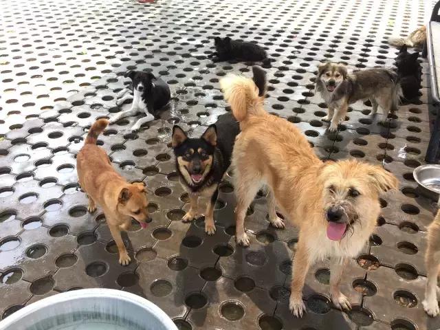 在马绍尔群岛生活的华人怎么快速找到组织？