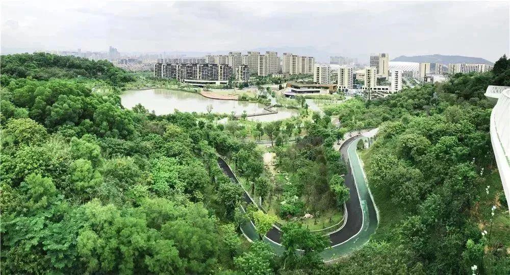 开车接电话被扣3分?这串数字到底啥意思? 开车接电话被扣3分?这串数字到底啥意思?