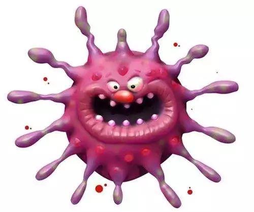 猫咪软便和拉稀到底有啥不一样？