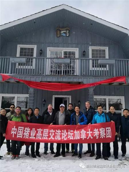 3月20日到底藏着哪些全球都在庆祝的大事? 3月20日到底藏着哪些全球都在庆祝的大事?