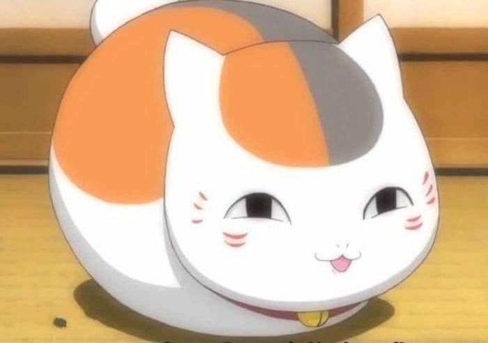 为什么你的猫咪军团总被团灭? 为什么你的猫咪军团总被团灭?