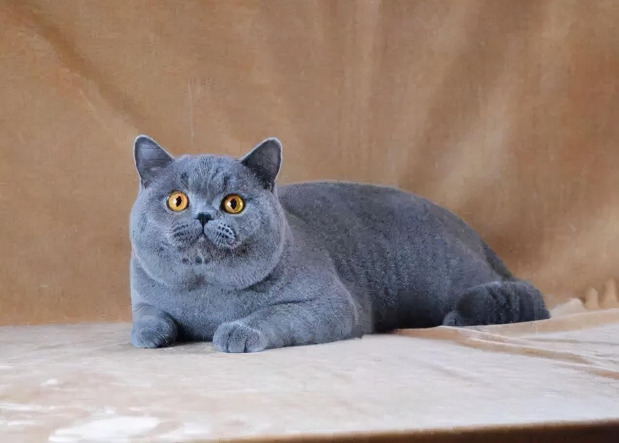 奔腾B50汽车值得买吗？实测数据告诉你答案