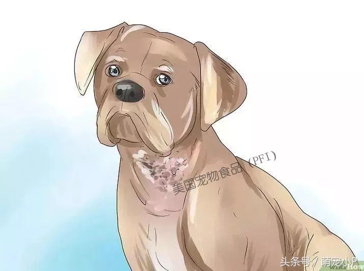 梦见孙女从高楼上摔下来是吉是凶？天秤座警惕家庭危机，3招化险为夷