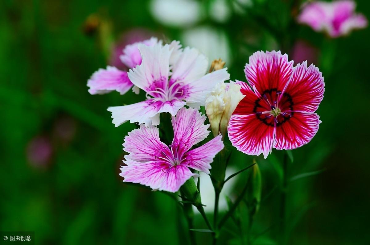 收到钞票总怕假?手把手教你成为鉴钞高手! 收到钞票总怕假?手把手教你成为鉴钞高手!