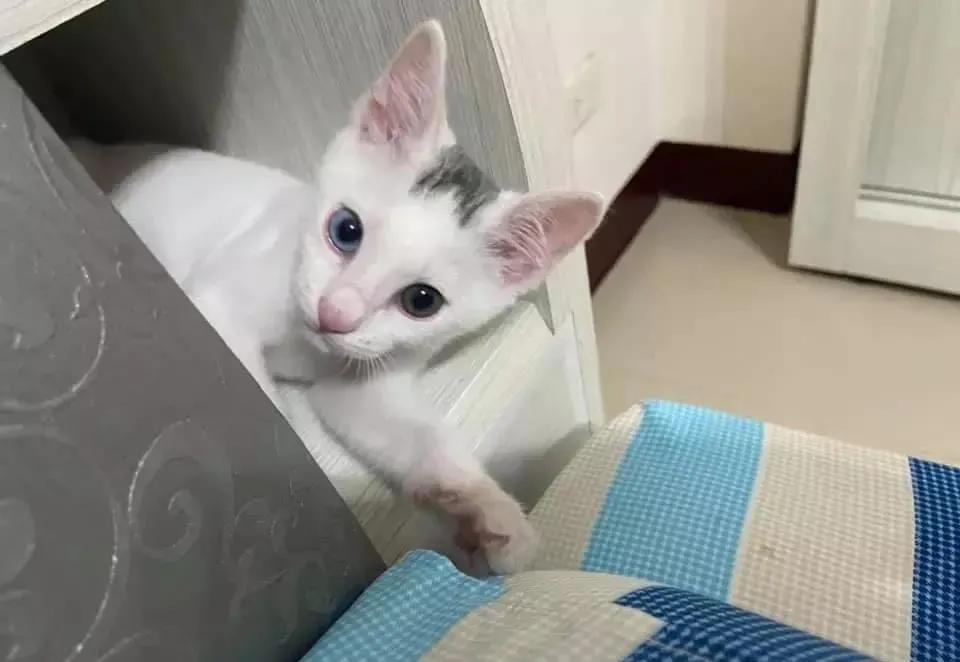 免费测名字能帮你逆天改命吗? 免费测名字能帮你逆天改命吗?