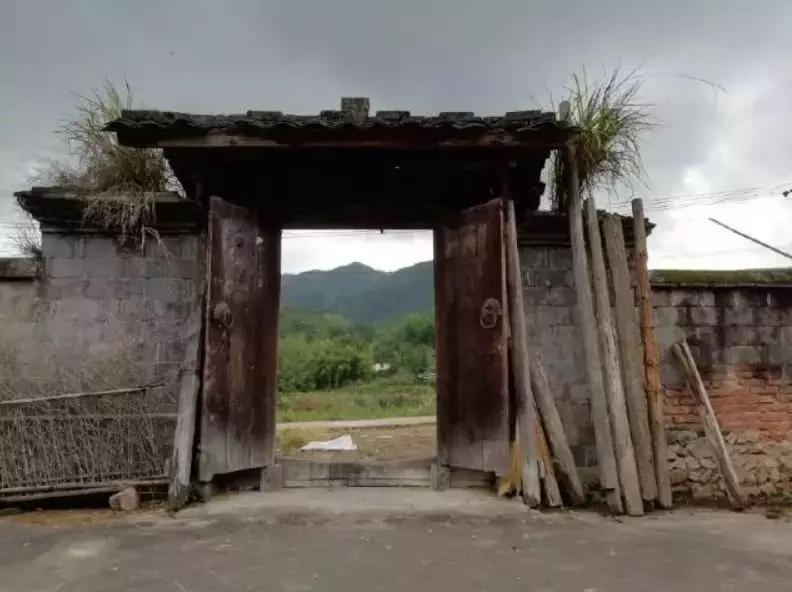 梦见跳芭蕾的深层心理暗示与能量转化指南