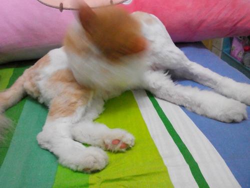 刑事律师在线询问：打破限制，便捷解决刑事法律问题