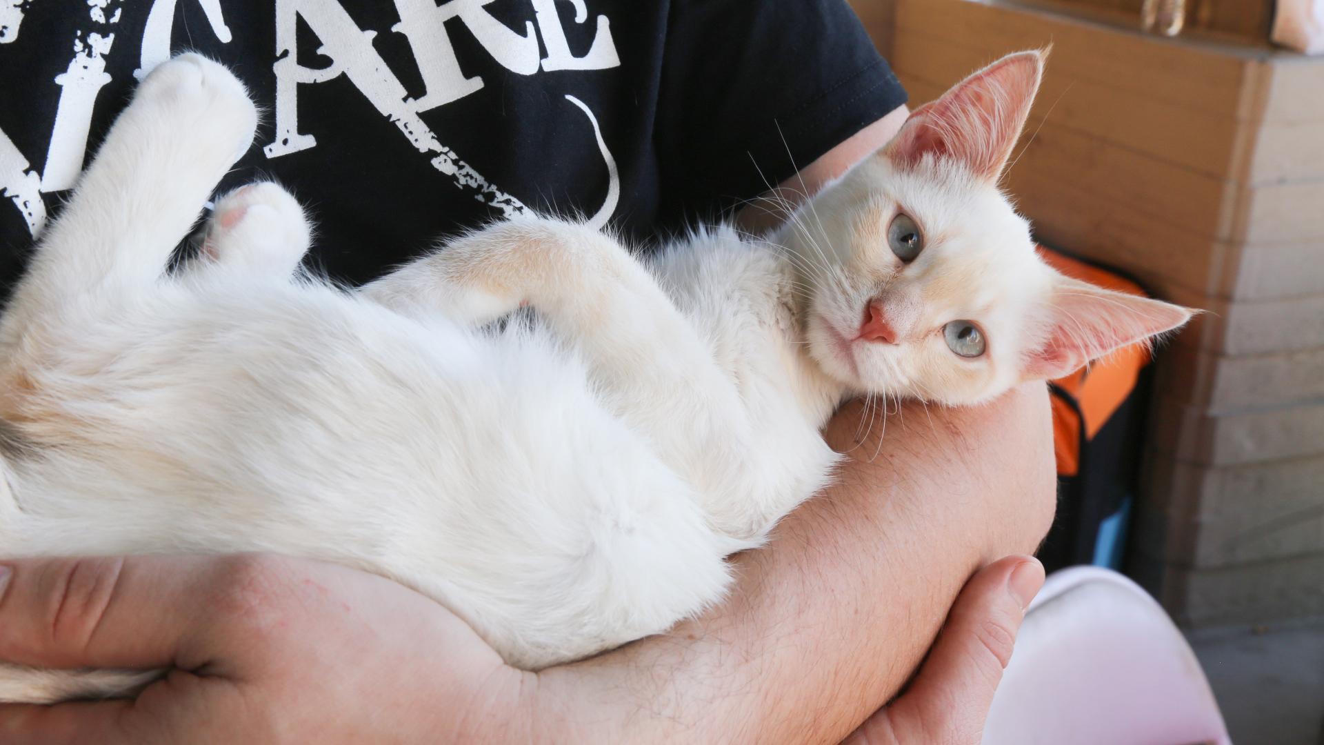 烟台电商揭秘淘宝刷单:卖家每天支千元佣金给“刷手”