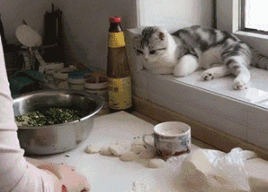 进口宝马X6到底要多少钱才能开回家？