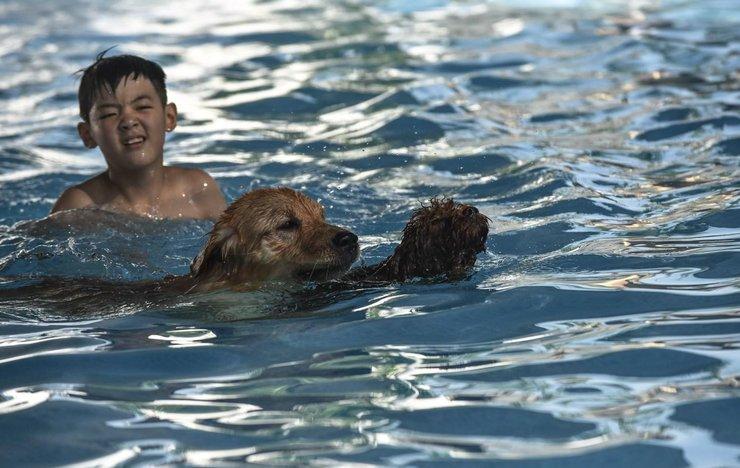 成都驾校考试排队难？线上预约系统省时30天避坑指南