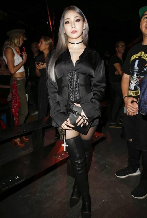 捡到流浪猫后必须注意哪些事? 捡到流浪猫后必须注意哪些事?