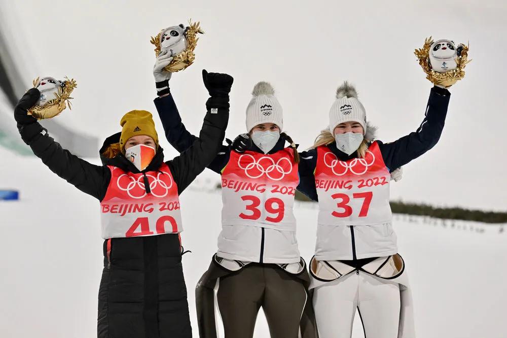 贝尔豪斯怎么玩？新手必看的生存指南