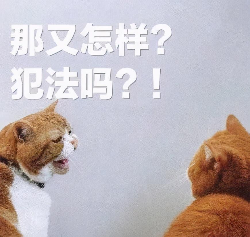 胸口的黑痣可能预示你天生狼心狗肺? 胸口的黑痣可能预示你天生狼心狗肺?