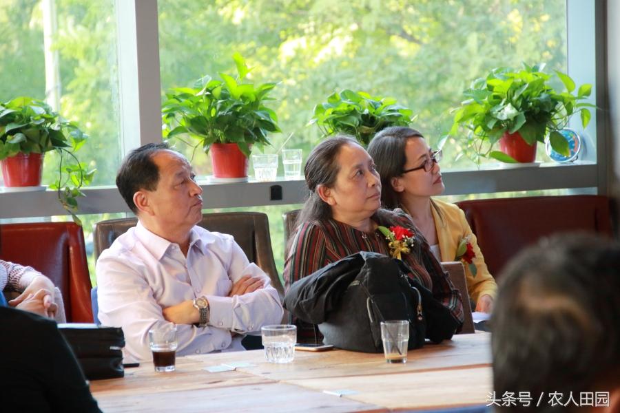 罗贝托到底怎么玩才能快速上手？