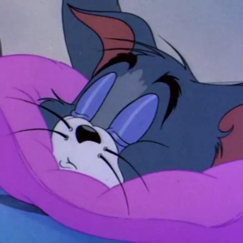 为什么别人的猫咪头像总能收割朋友圈点赞？