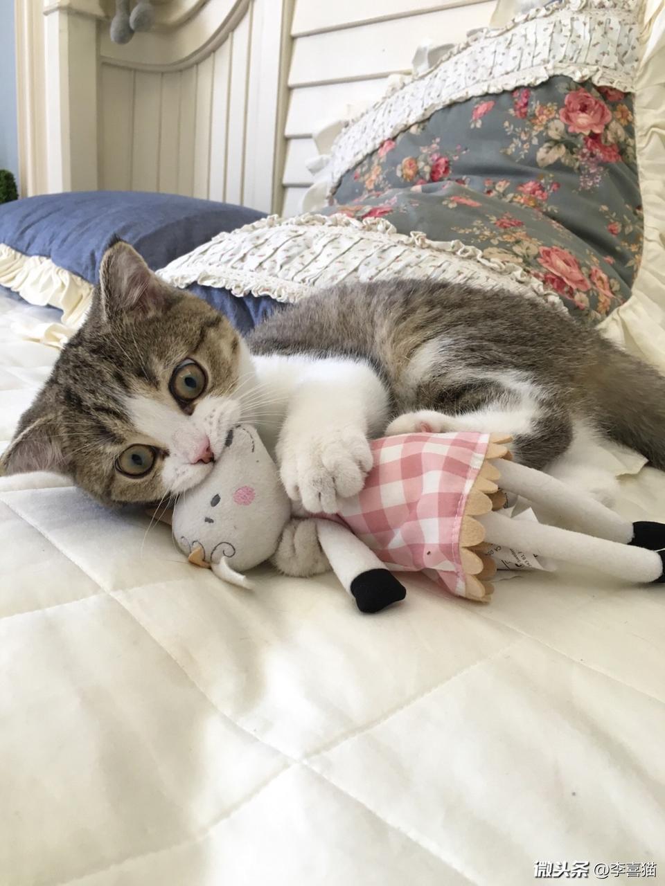 命理师揭示：大S与汪小菲的爱情未完待续，三婚暗示复合可能性