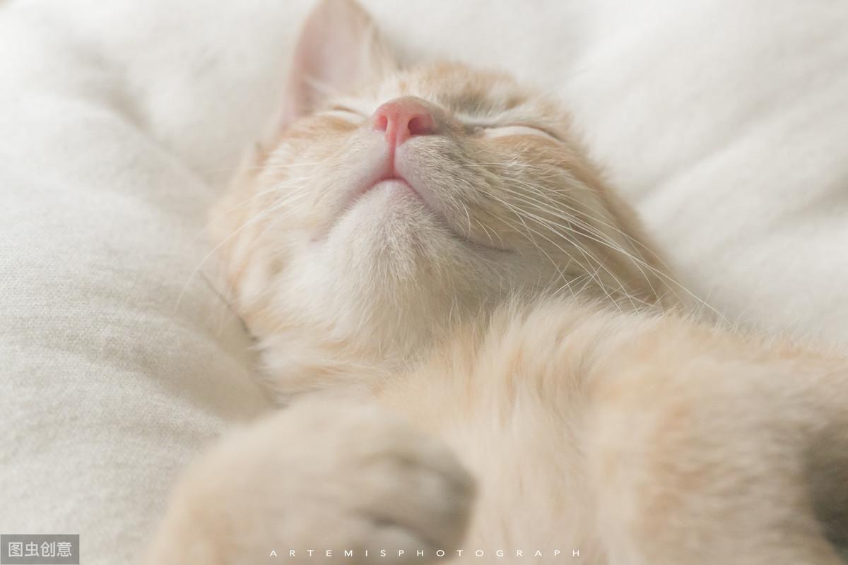 北美丝袜华人论坛小说到底怎么玩才不踩坑？