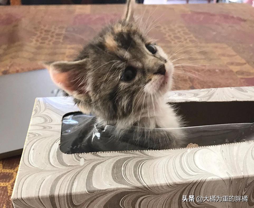 第一次去泰国旅游需要注意什么？