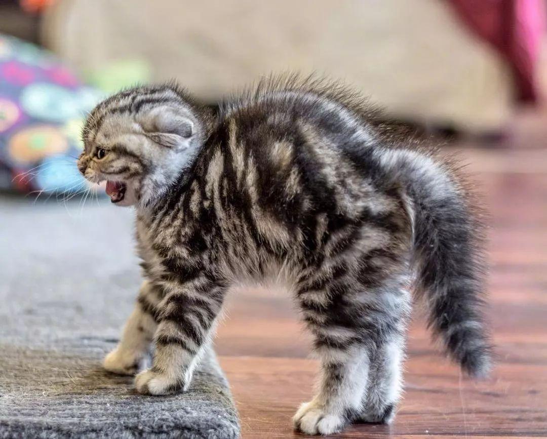 产权证到底怎么查？手把手教你避开所有坑