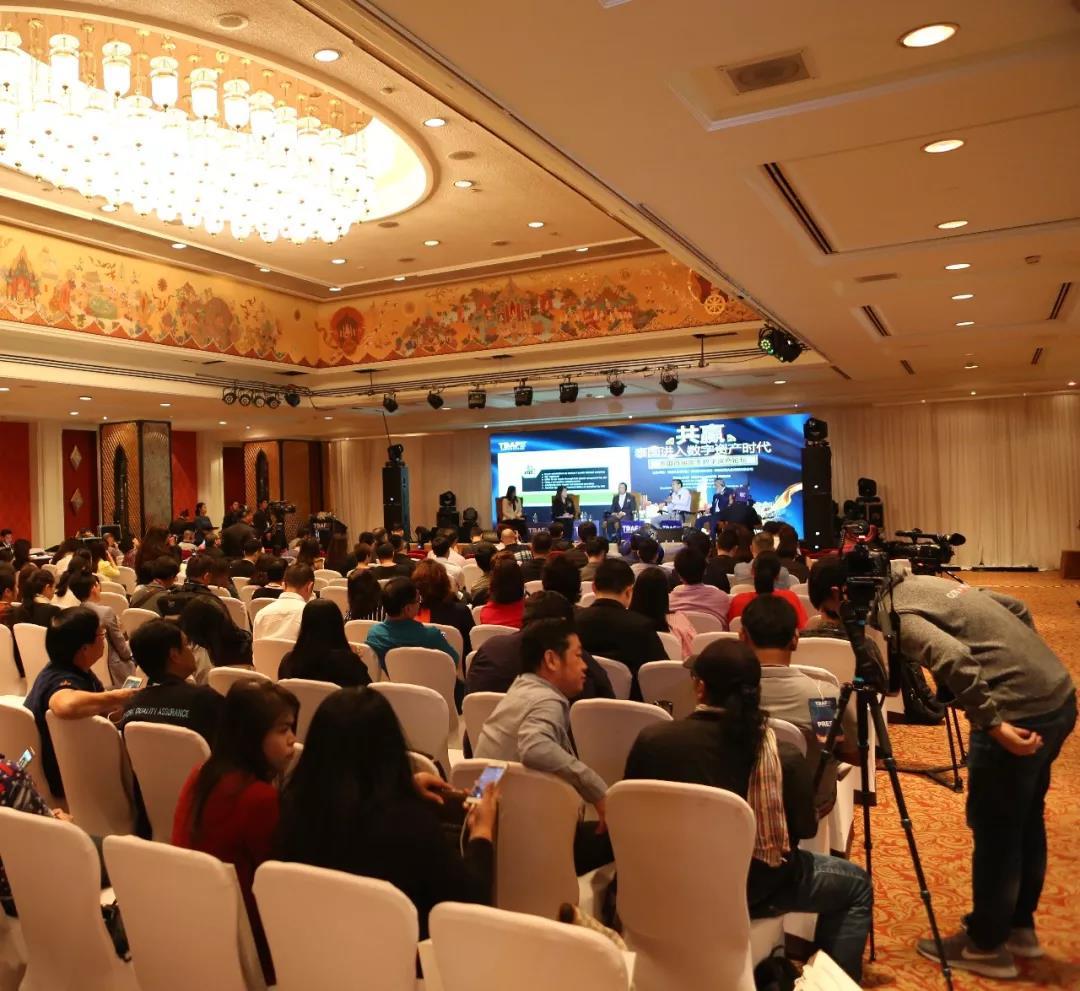 你家猫主子看大香蕉会原地起飞吗? 你家猫主子看大香蕉会原地起飞吗?