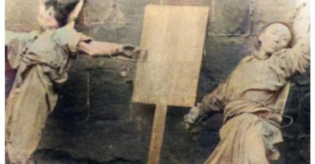 你家真皮沙发正在被猫主子「凌迟处刑」吗？