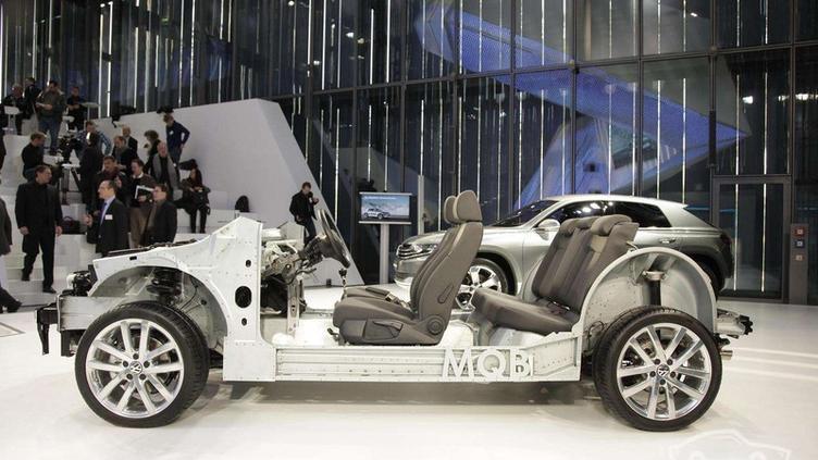 猫咪突然变 干饭王 可能是肚子里长虫了？