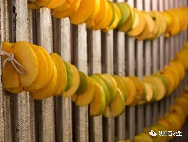 主子偷吃地瓜会中毒吗? 主子偷吃地瓜会中毒吗?