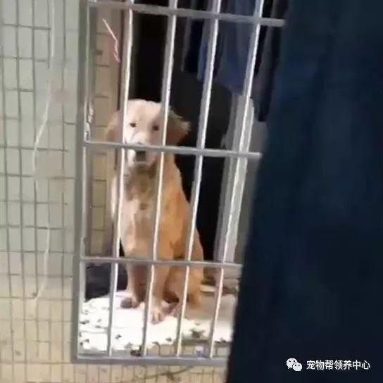 为什么老一辈总说 初四比除夕更重要 ？