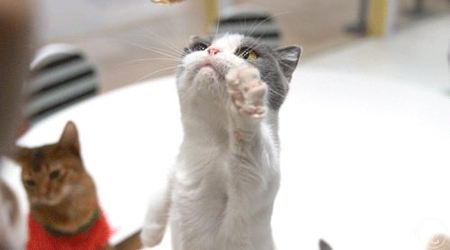 梦见穿白吊带上衣的3大命运启示与能量守恒法则